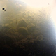 Illustration for article titled Life has been discovered beneath the Antarctic ice